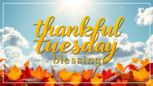 thankful tuesday blessings