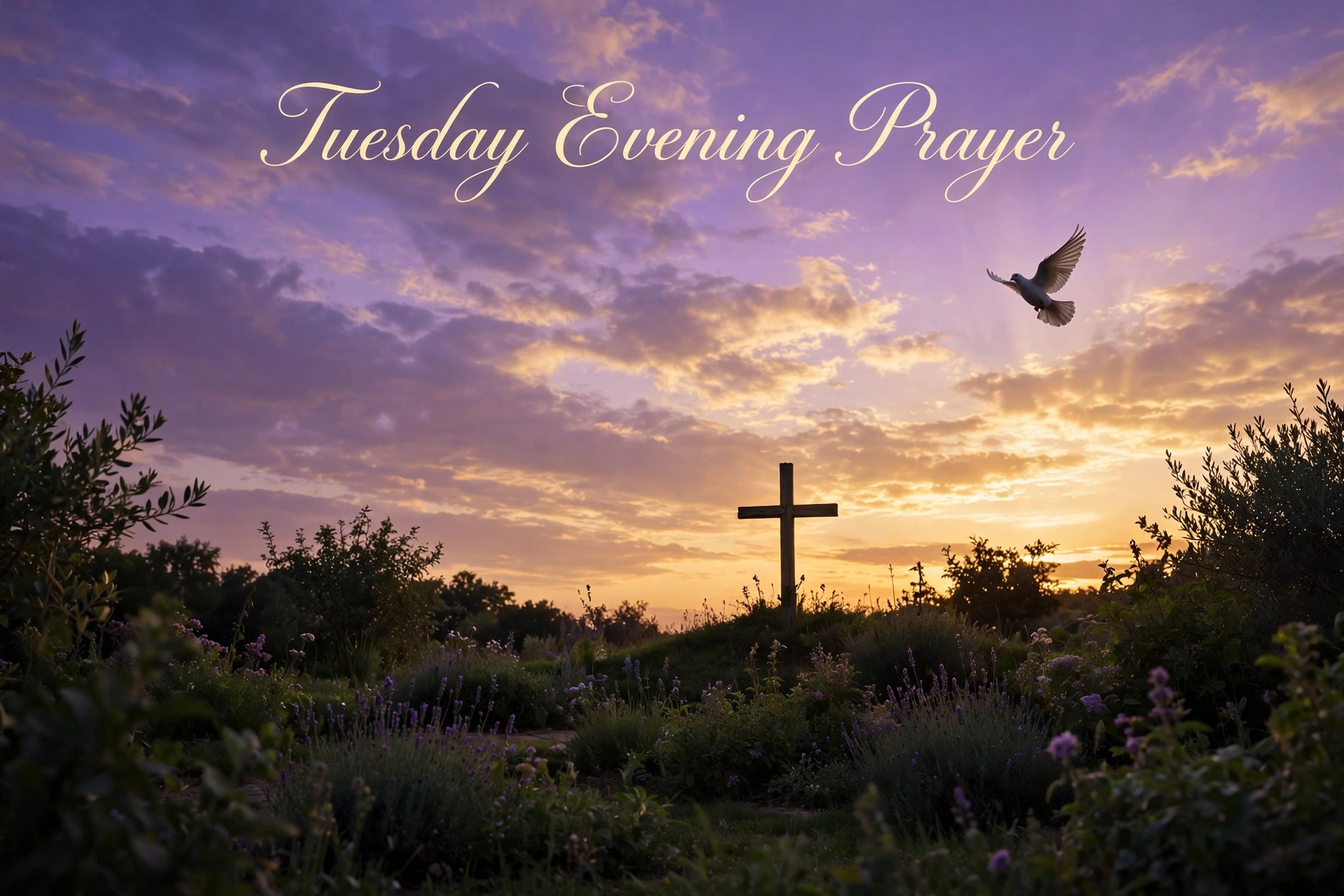 Tuesday evening prayer image — sunset garden with a dove and cross